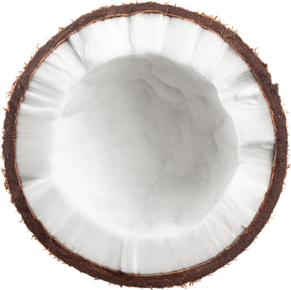Coconut