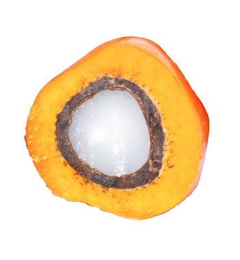 Palm fruit